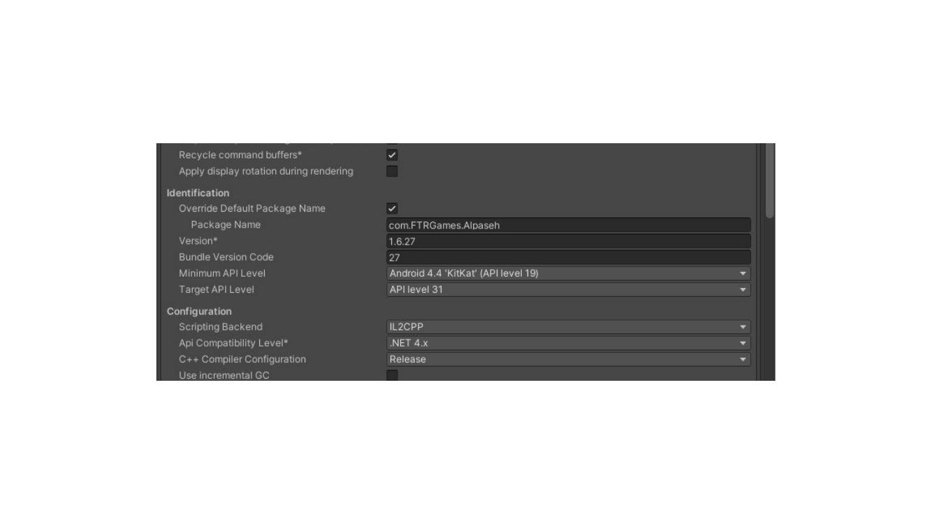 Unity version and Bundle Version Code fields