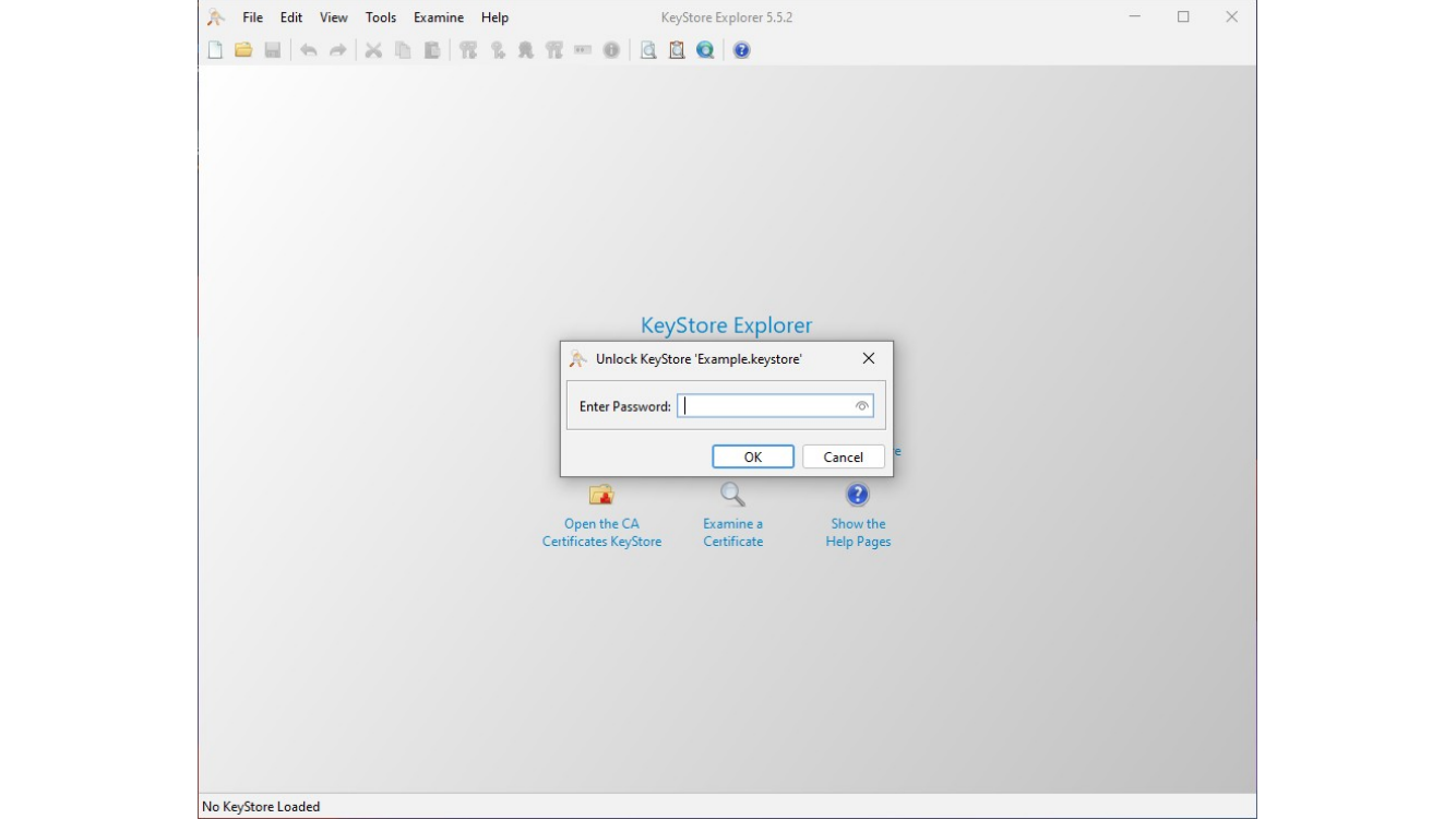 Entering the keystore password in KeyStore Explorer
