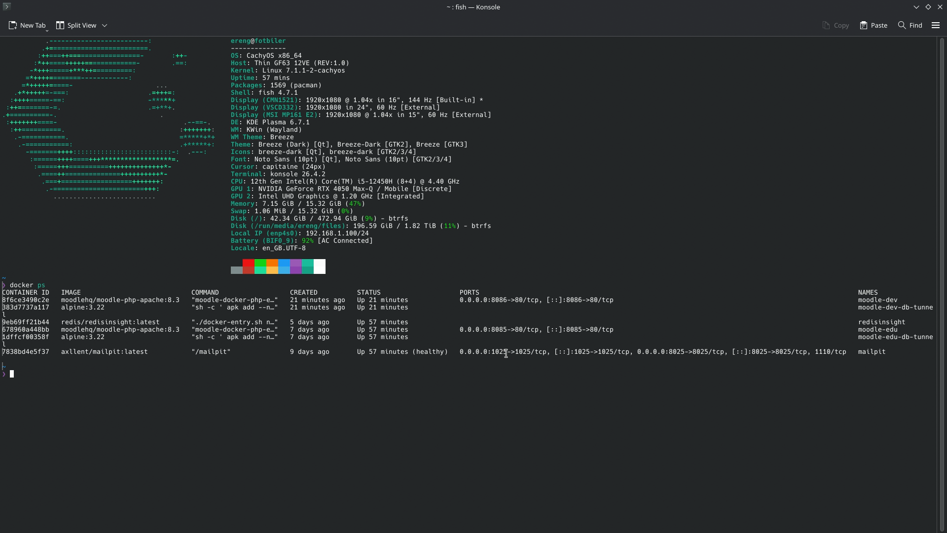 Checking running Docker containers for Moodle and Mailpit