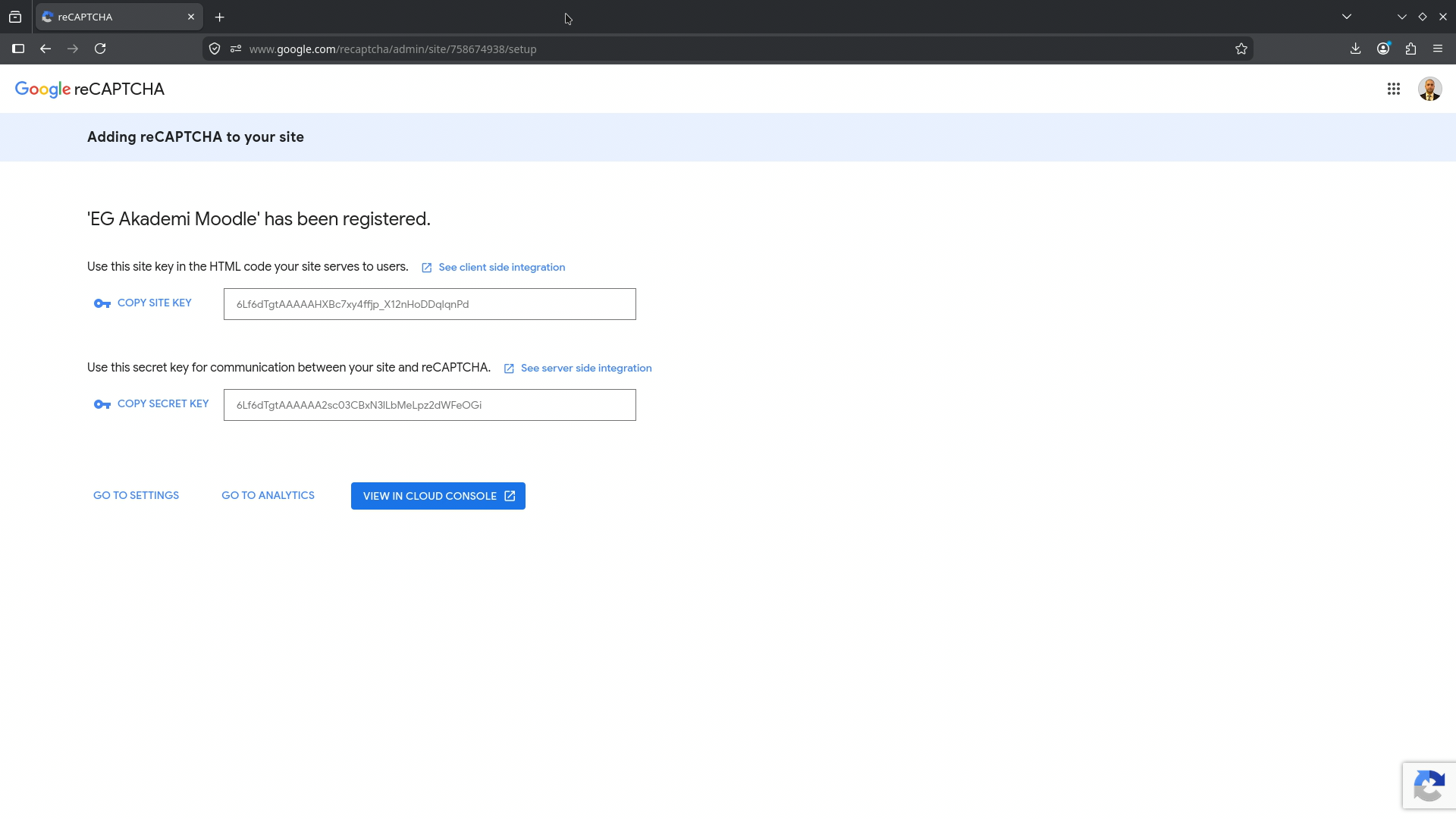 Registering localhost and choosing the reCAPTCHA type