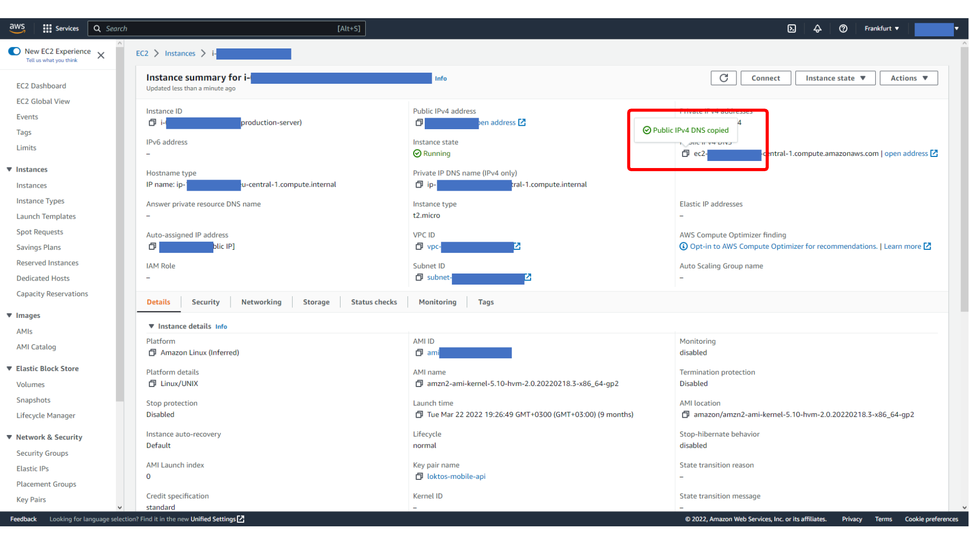 Copying the EC2 public IPv4 DNS value