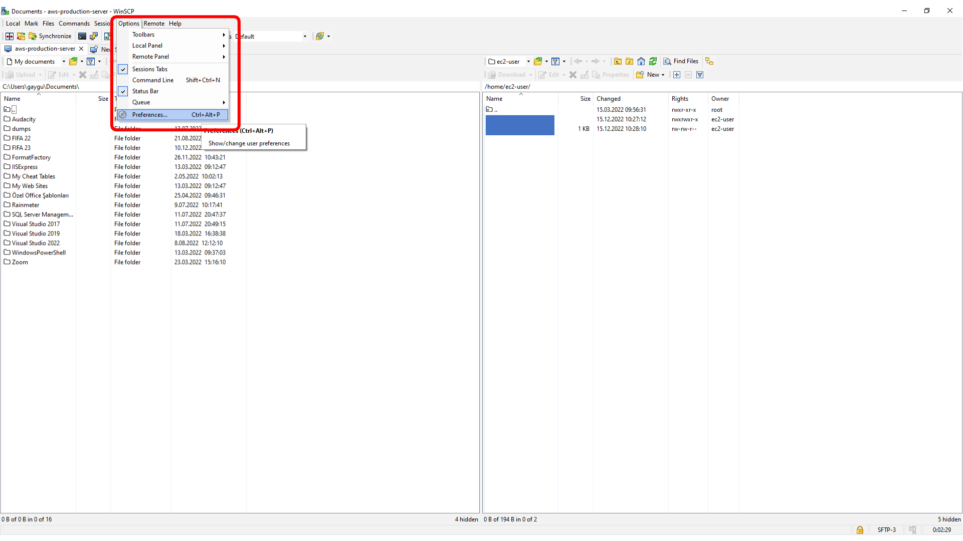 Opening WinSCP preferences from the Options menu