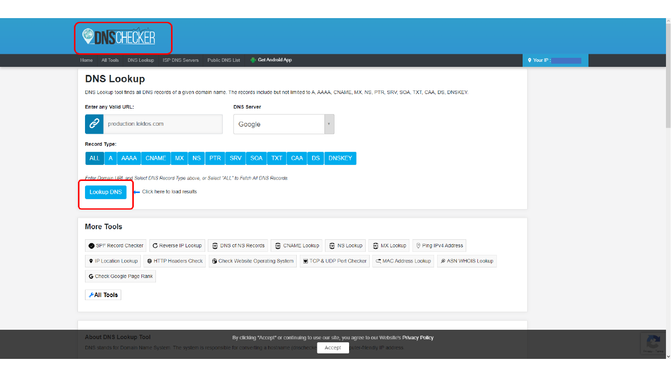 Checking DNS records with a DNS lookup tool