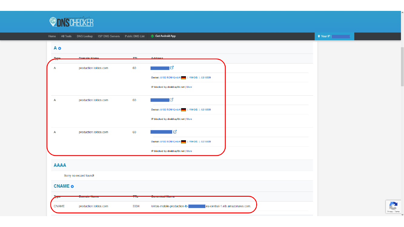 DNS lookup result for the configured domain