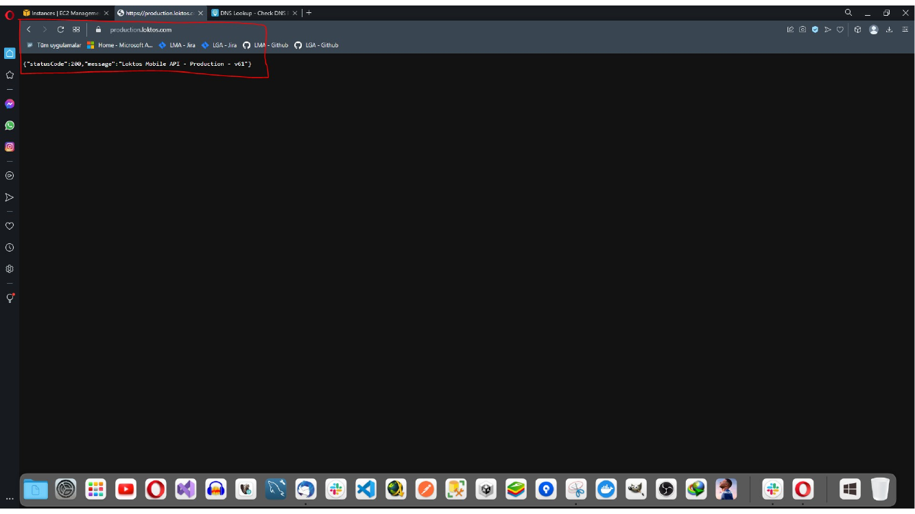 Verifying domain points to the load balancer