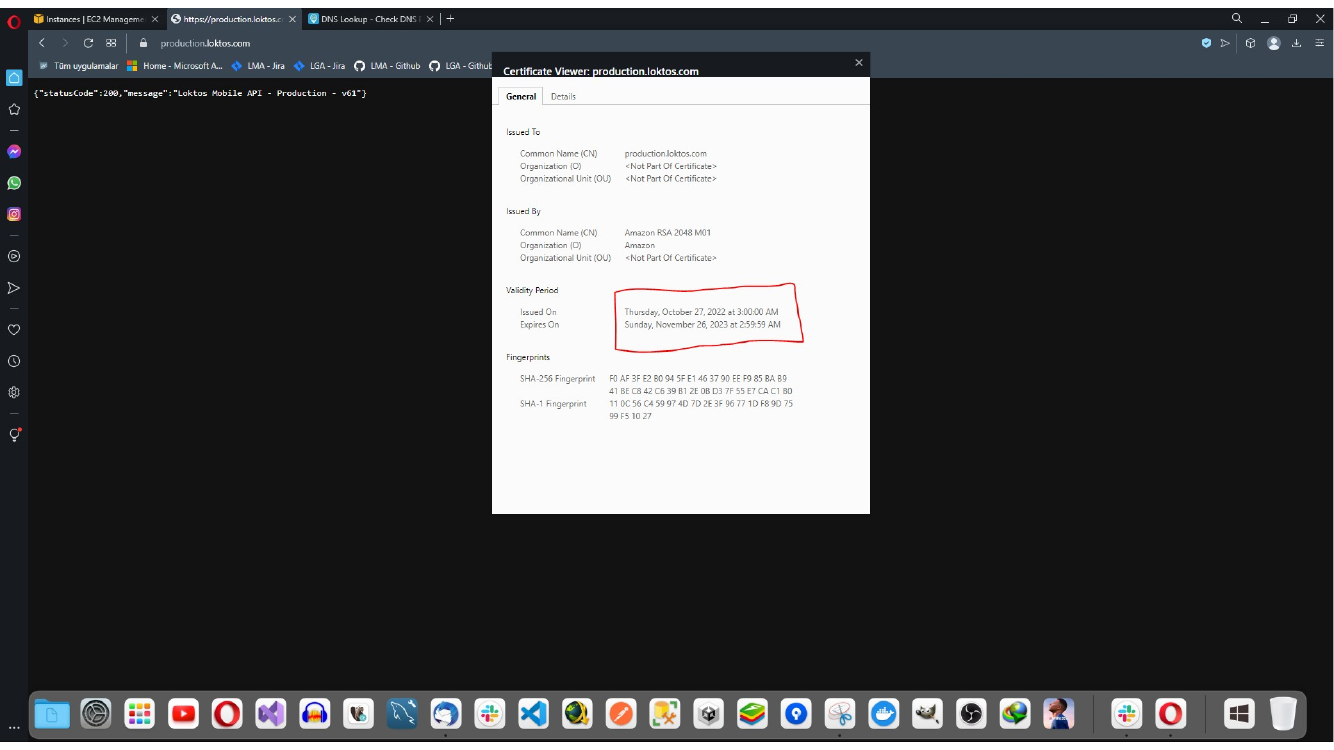 Testing the domain over HTTPS after DNS propagation