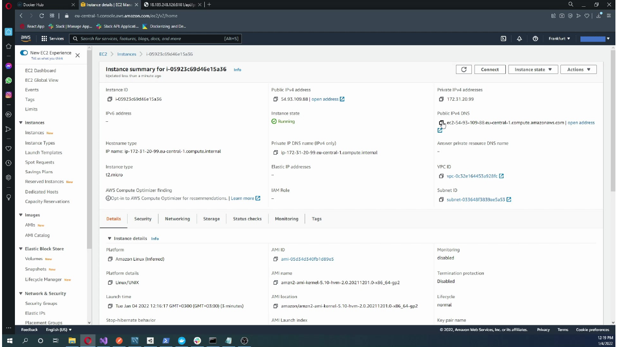 Viewing the EC2 public IP and public DNS details