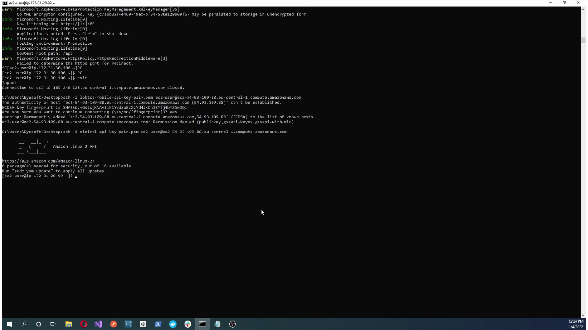 Connecting to the EC2 instance from a terminal with SSH