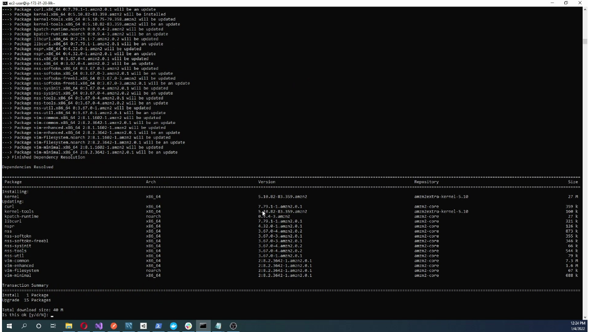Updating package metadata on the EC2 Linux server