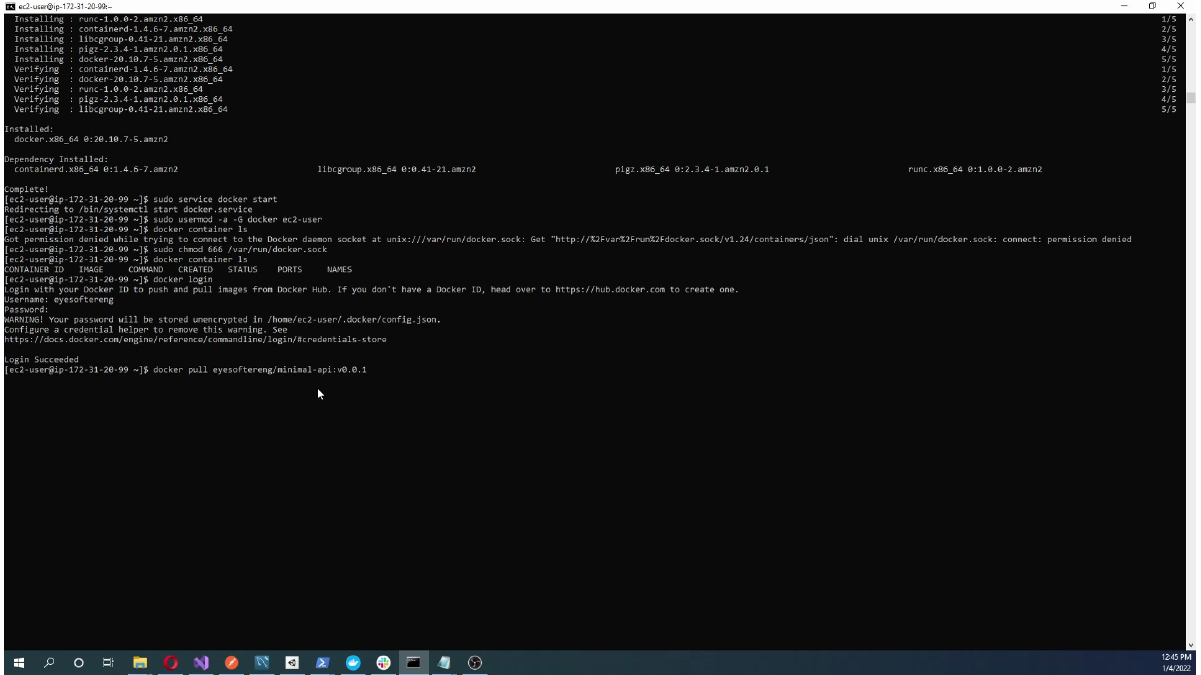 Pulling the Docker Hub image on the EC2 instance