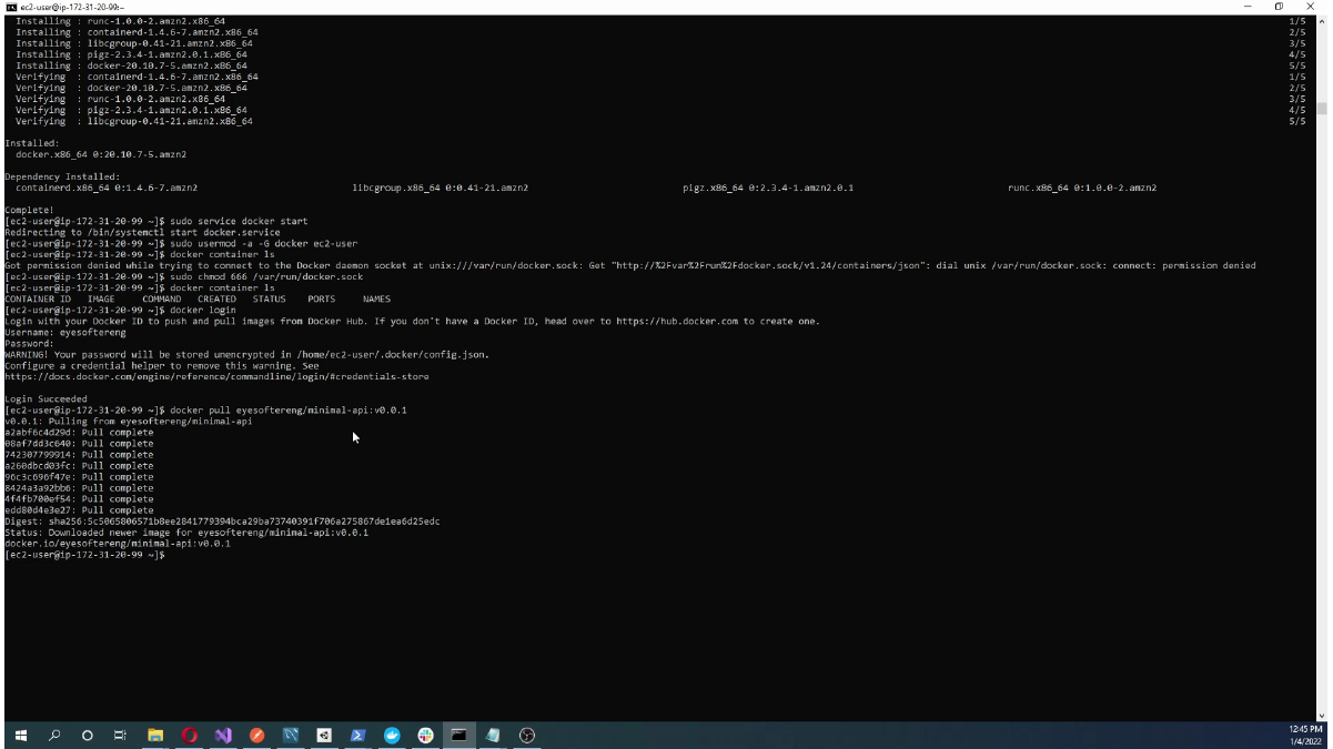 Running the ASP.NET Core Web API container on EC2