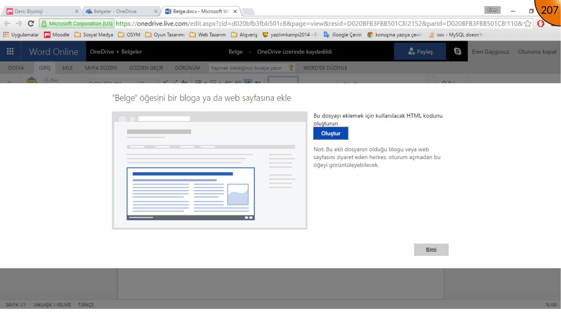 Creating Word document embed code