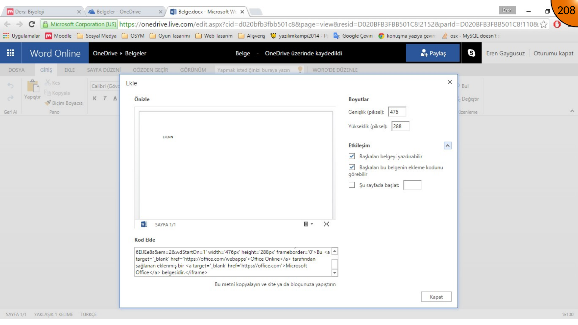 Configuring Word document embed dimensions and interaction