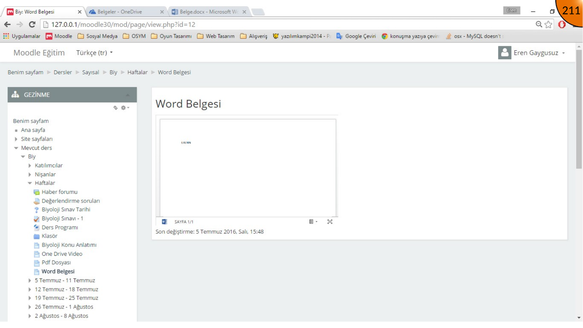 Word document embedded in Moodle