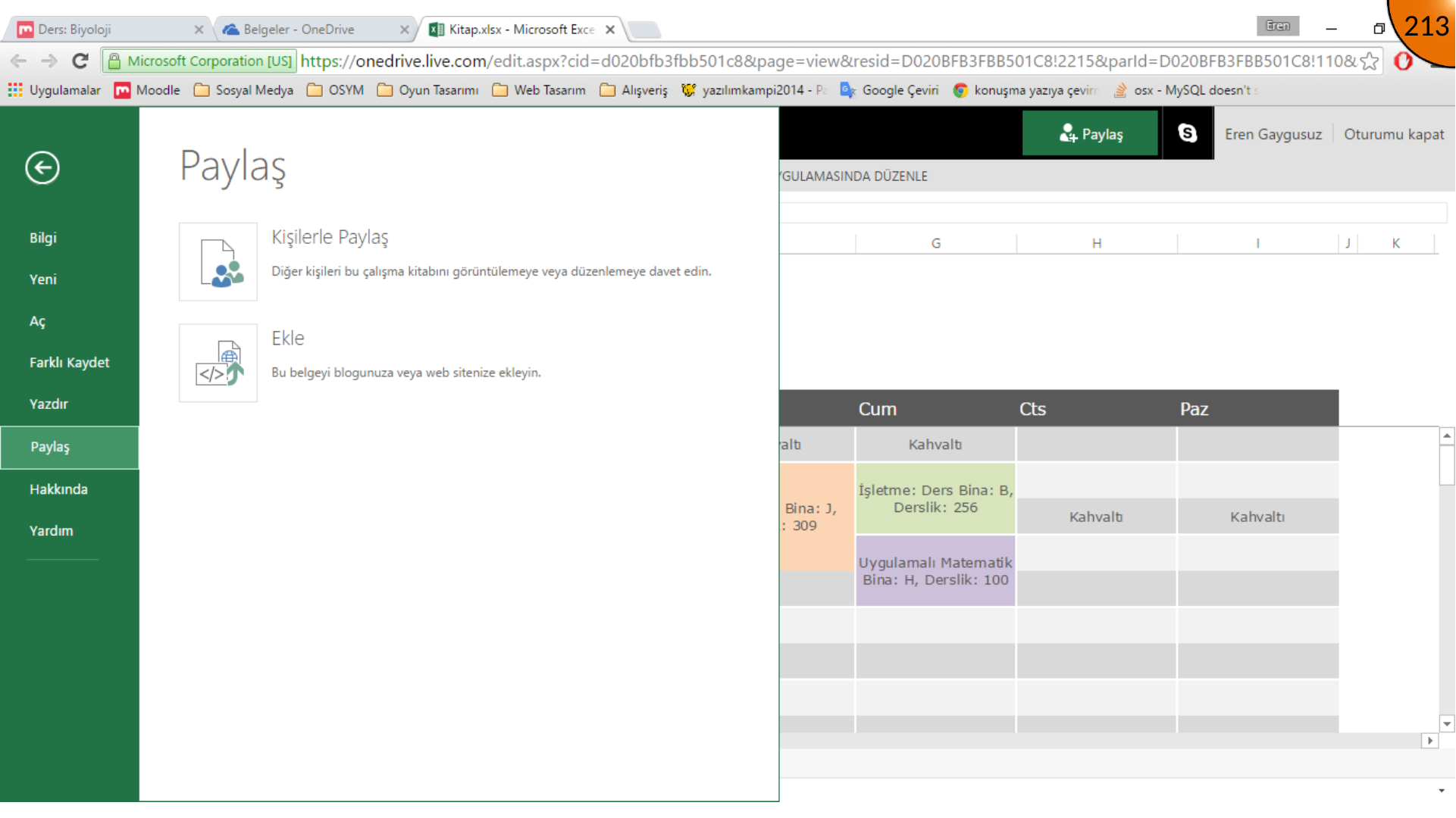 Opening Excel embed option
