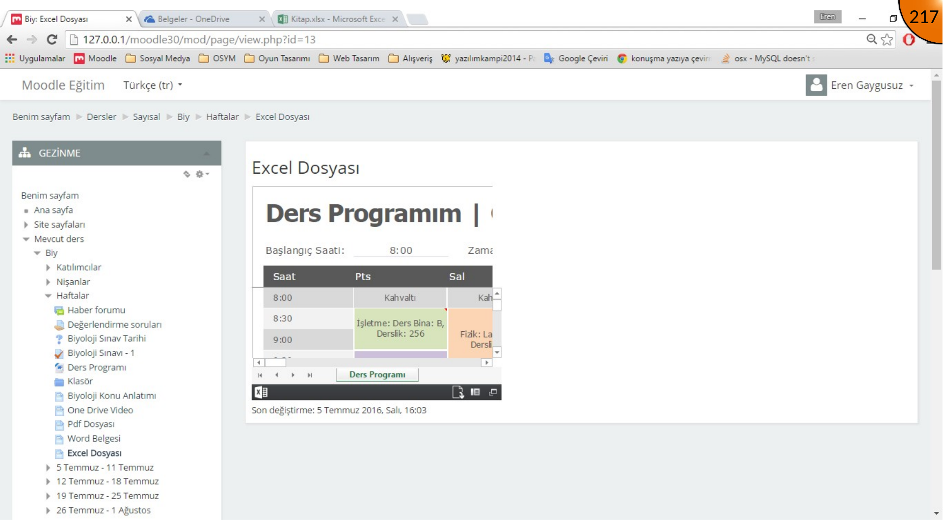 Excel workbook embedded in Moodle