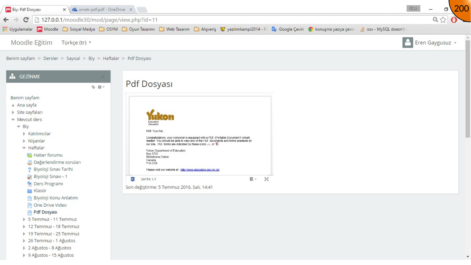Initial Moodle page with PDF viewer