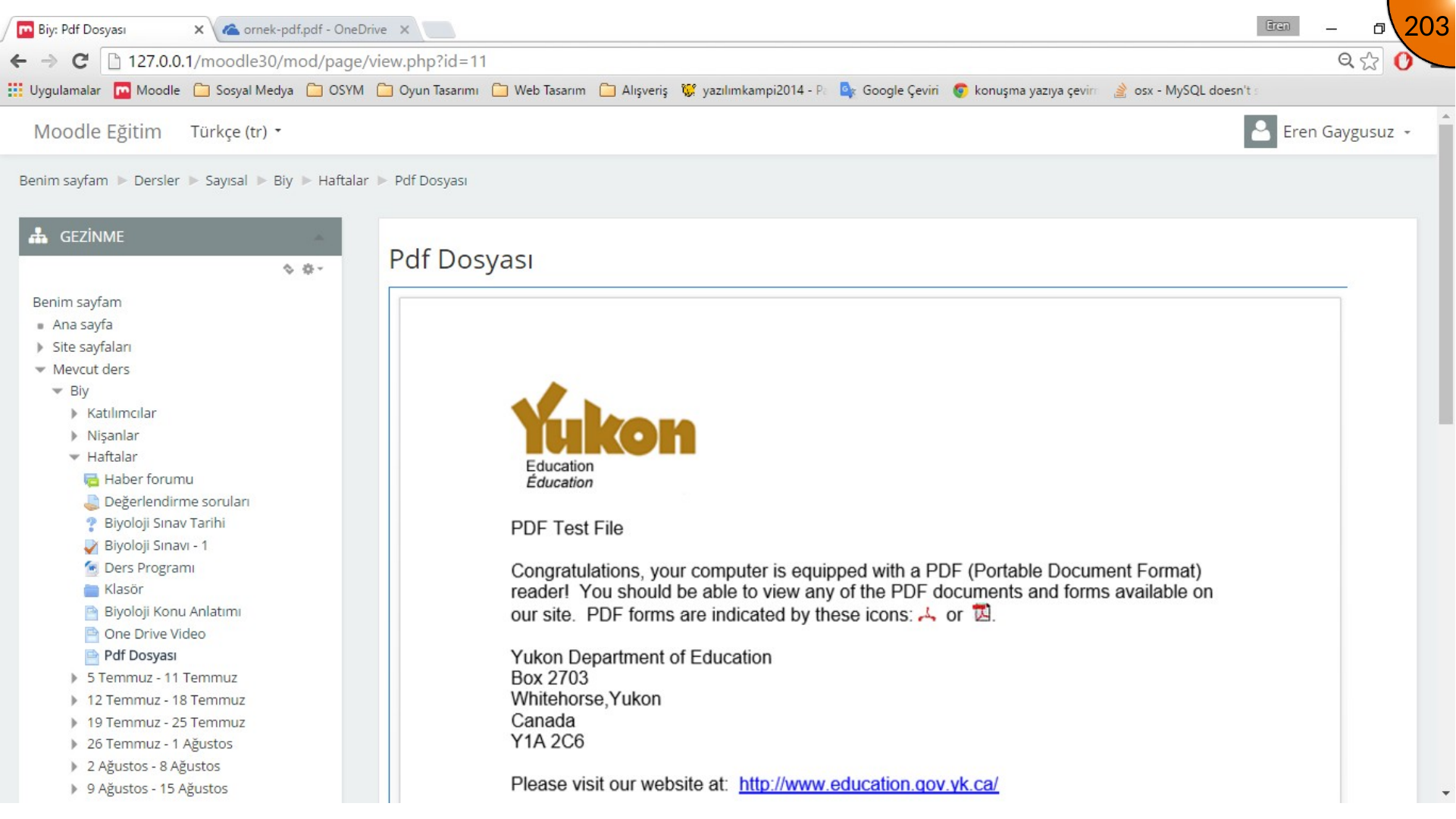 PDF embedded at improved dimensions in Moodle