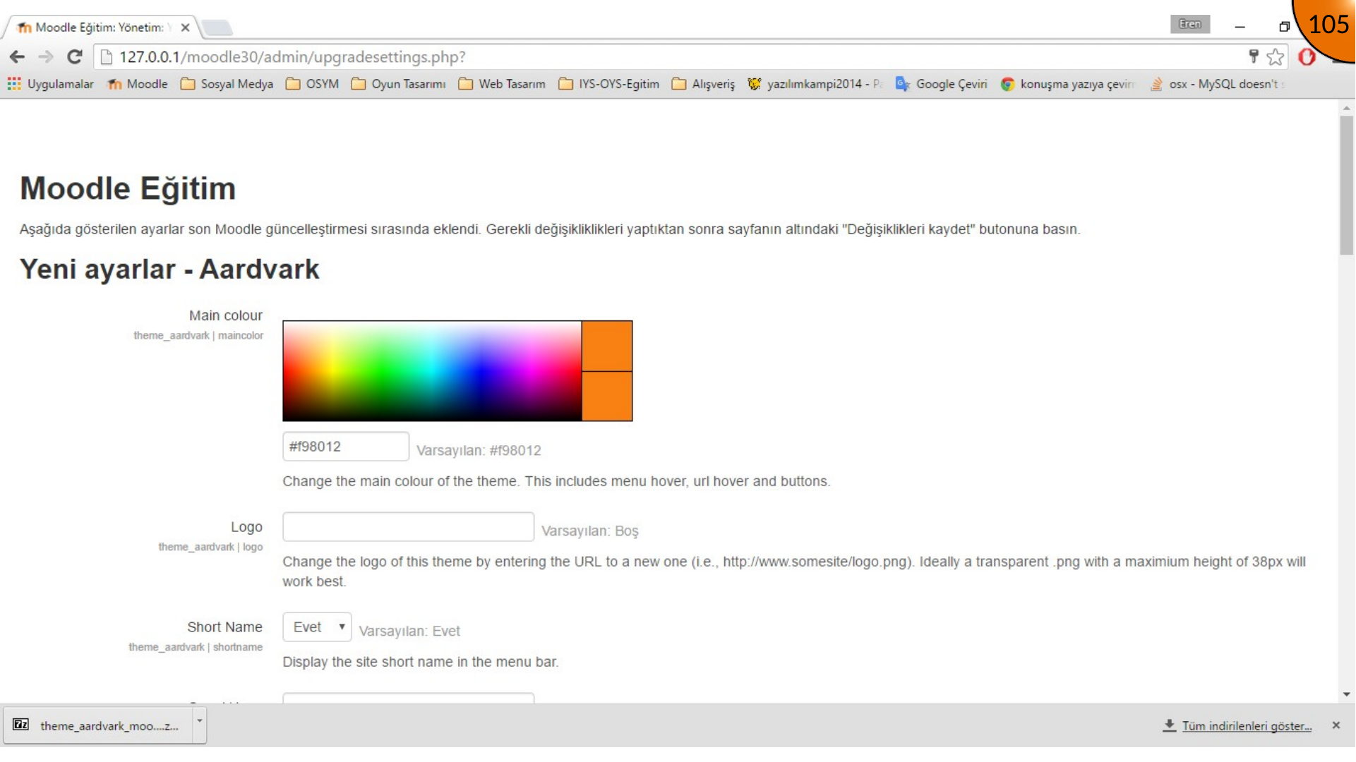Moodle theme configuration page