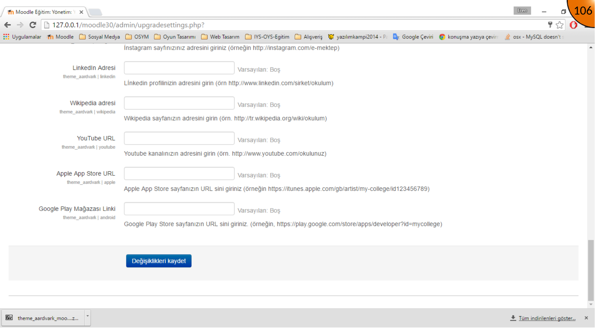 Saving Moodle theme configuration