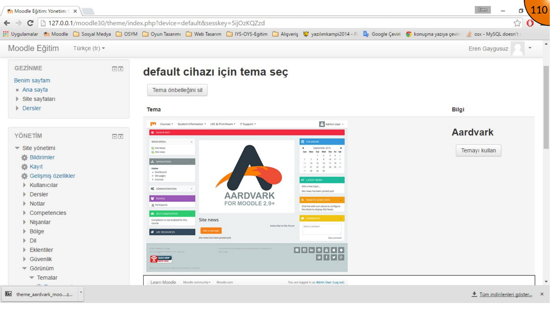 Activating the installed Moodle theme