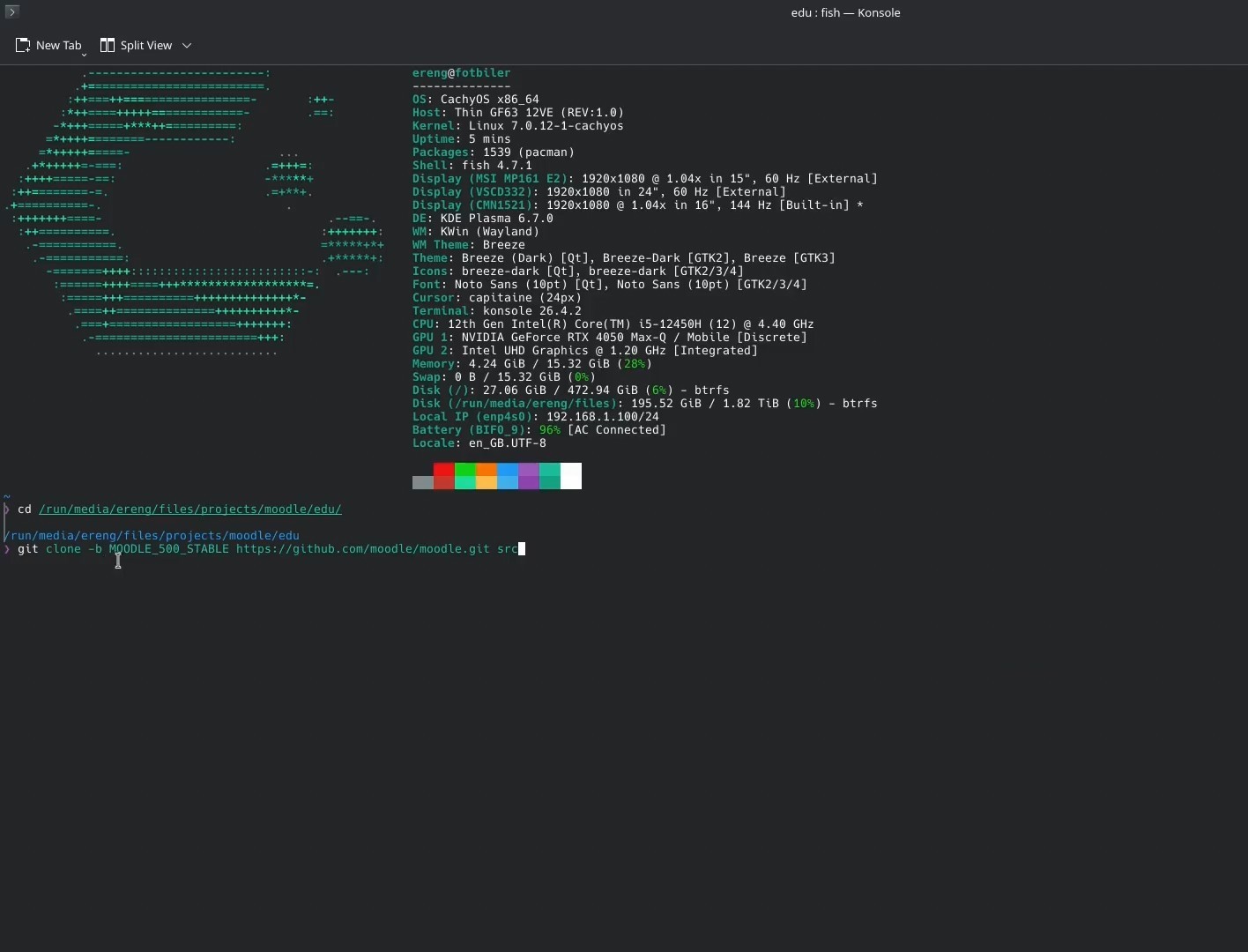 Starting the Moodle source code clone from the terminal