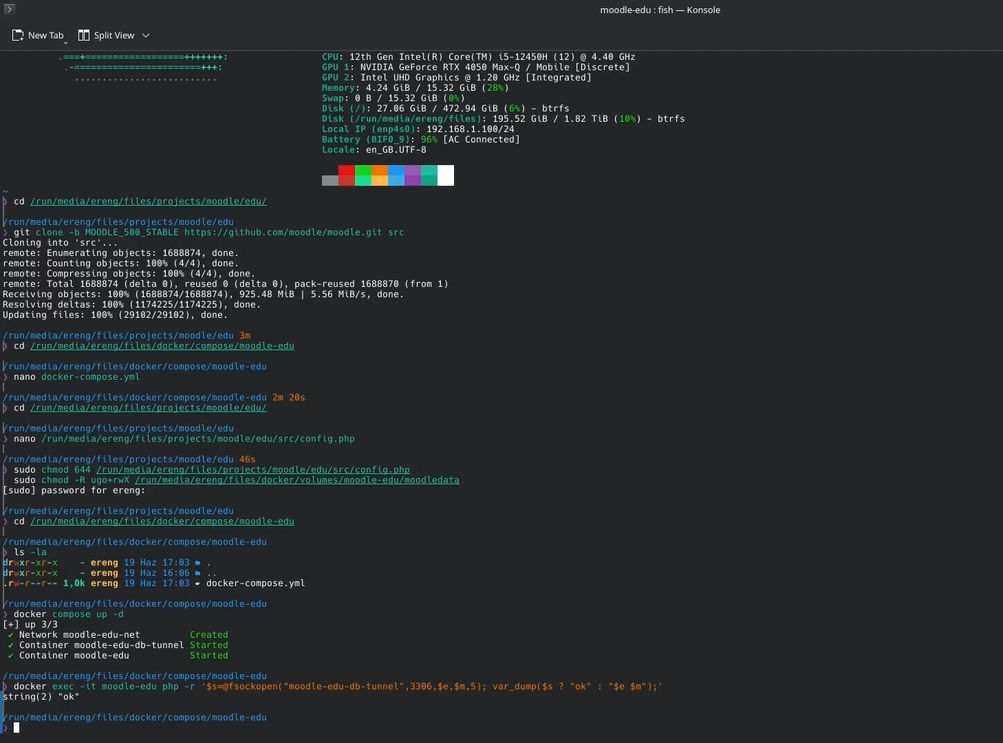 Testing the Moodle container connection to the database