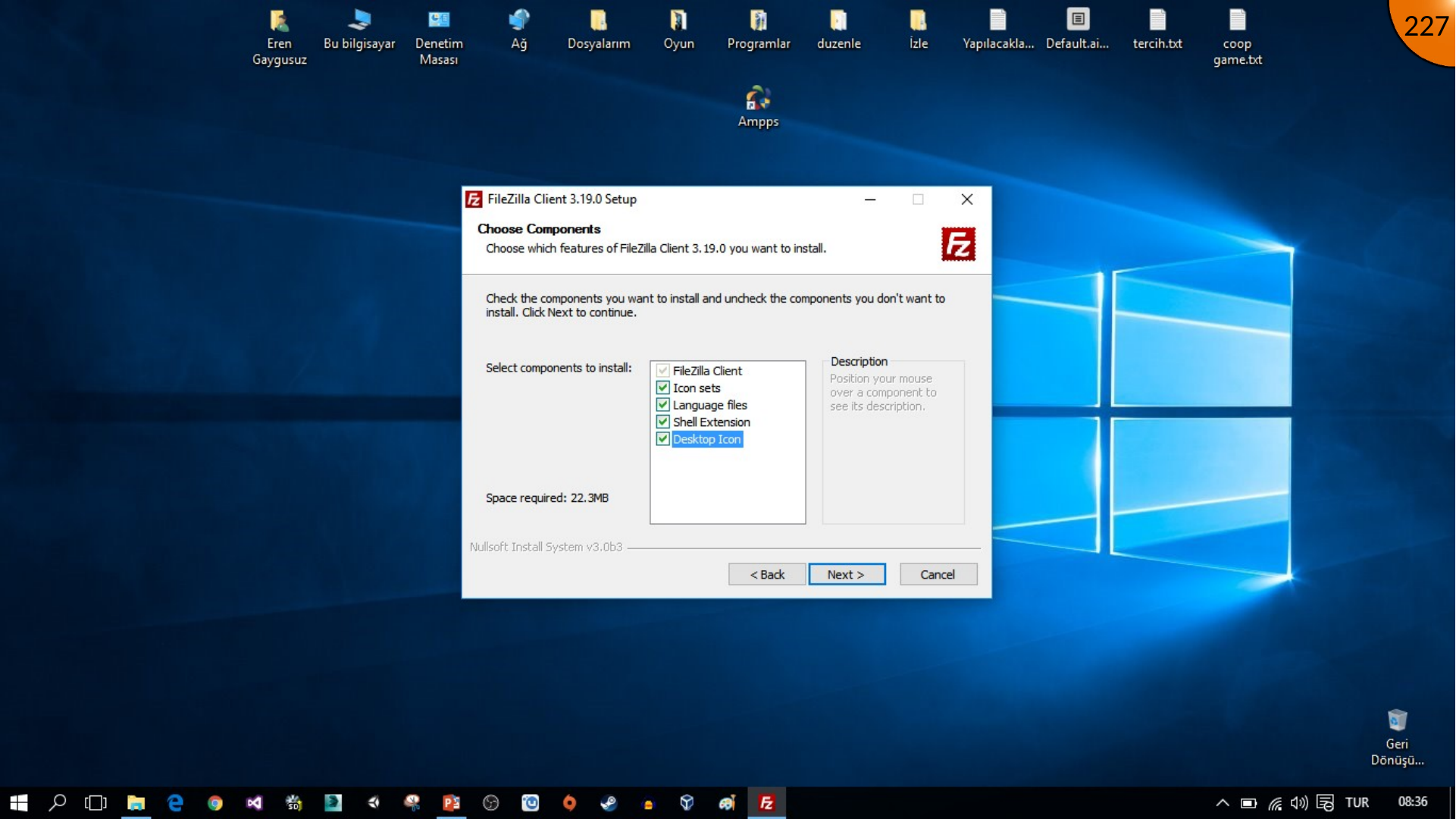 Confirming FileZilla installation option