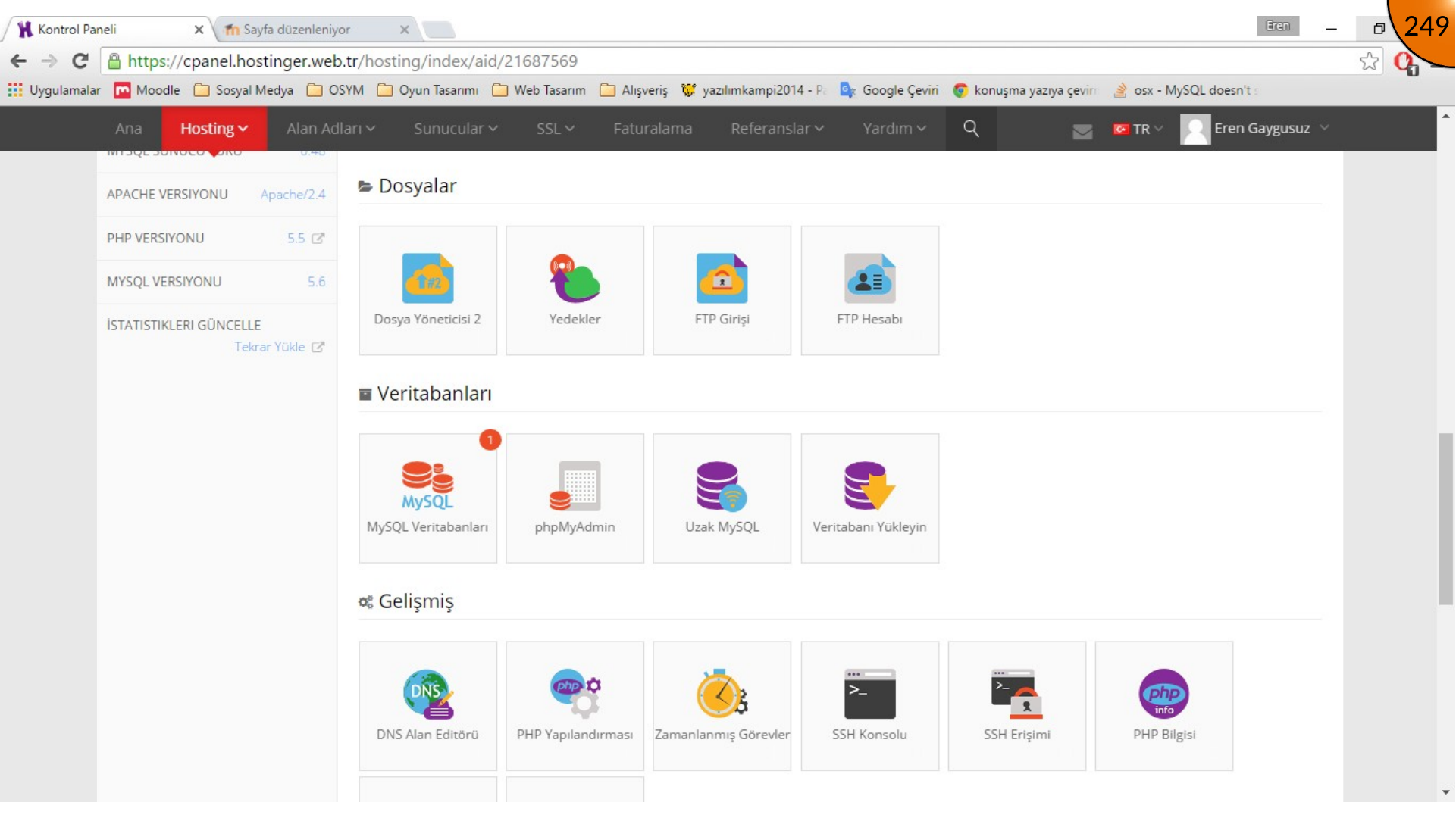 Opening FTP login details in hosting control panel