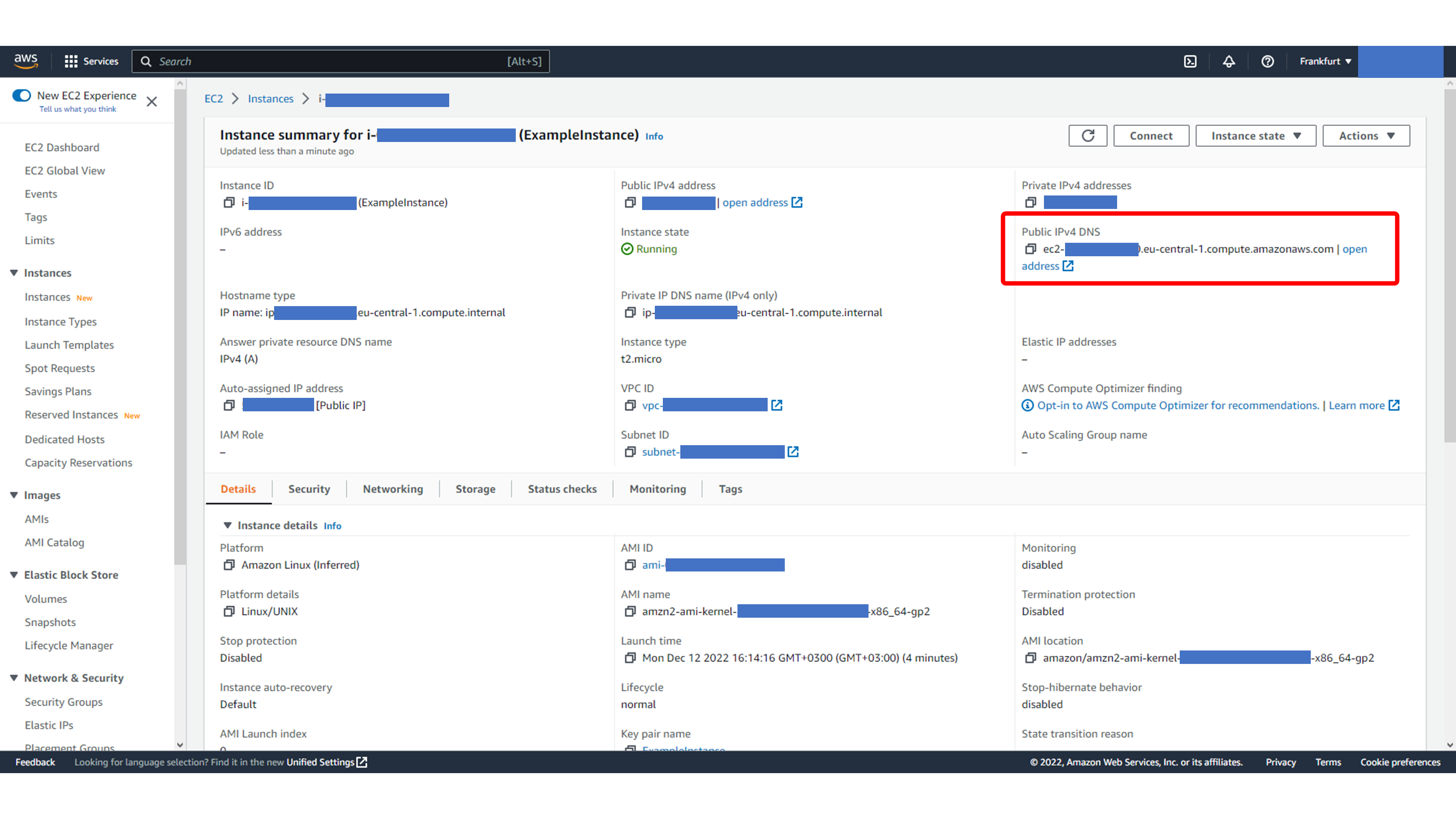 Copying the EC2 Public IPv4 DNS address